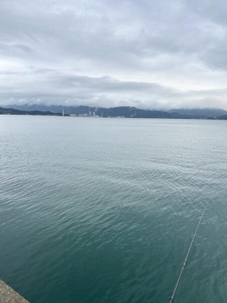 ひさびさ餌釣り
