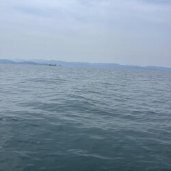 鯛ラバもしてみたら