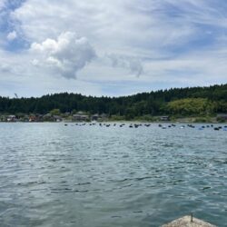 穴水町フカセ釣り