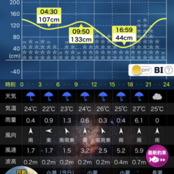良メバル