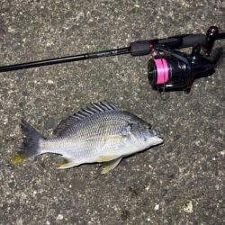 仕事終わりの釣行