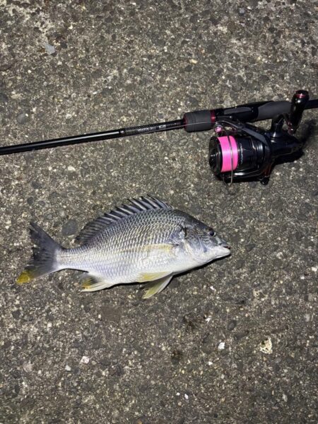 仕事終わりの釣行