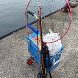 清掃活動：コブダイ釣り