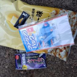 清掃活動：今季初のイカメタル