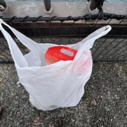 清掃活動：豆アジ株価少しだけ上昇？