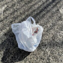 清掃活動：まだまだ豆アジ安定しない