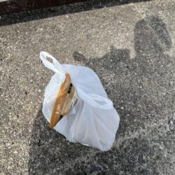 清掃活動：サビキ渋い
