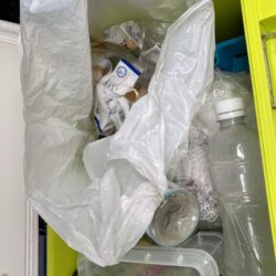 清掃活動：船タコ、サイズが…