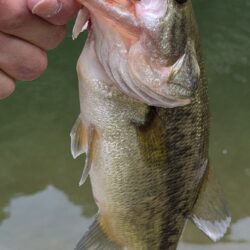 雷の合間に釣り
