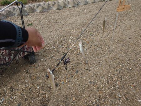 ちょい投げキス