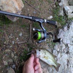 短時間の朝活釣行