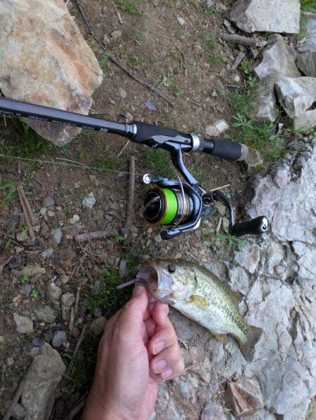 短時間の朝活釣行