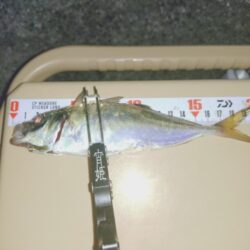 久しぶりのフロートアジング🎣