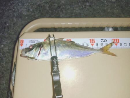 久しぶりのフロートアジング🎣