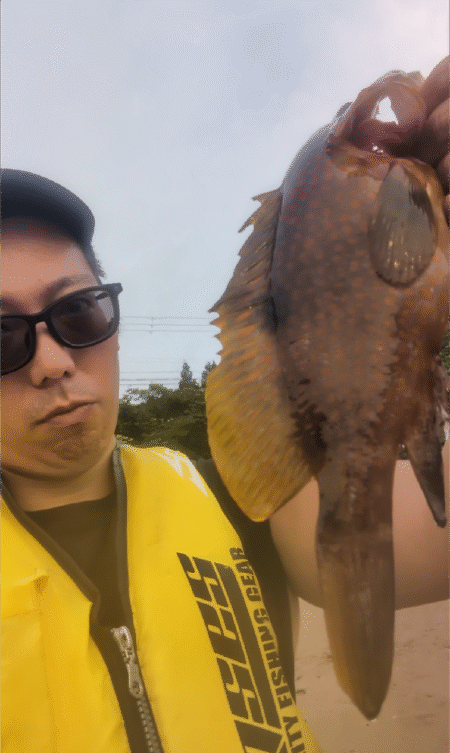 ロックフィッシュを求めて