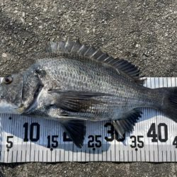 イチノ兄弟、釣果！