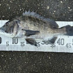 イチノ兄弟、釣果!