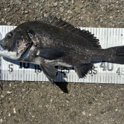 イチノ兄弟、釣果！