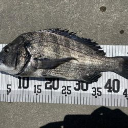 イチノ兄弟、釣果！