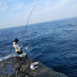 和歌山市江(吉丸渡船)でグレ釣り