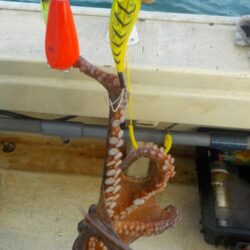 タコ最終戦〜盛和丸〜