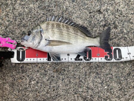 紀州釣り