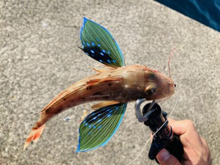 二刀流