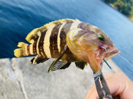 紀州釣り