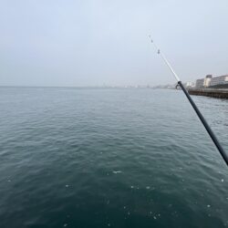 雨が降る前にカラバリとサビキ