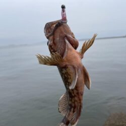 雨降ってなく急遽釣行