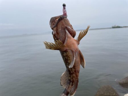 雨降ってなく急遽釣行
