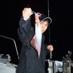 イカ・ケンサキの釣果写真
