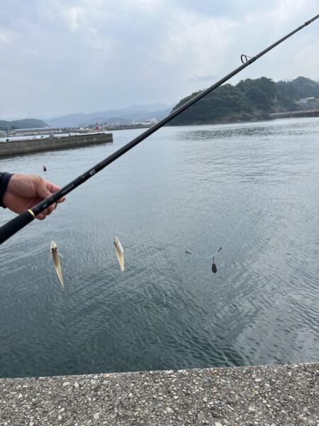 香住東港:さらば二代目シロギスタ