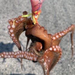 少々、渋め!