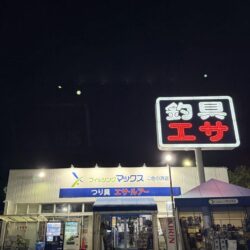 シロギス釣り