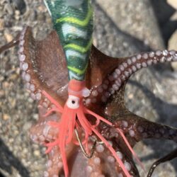 釣り場移動！