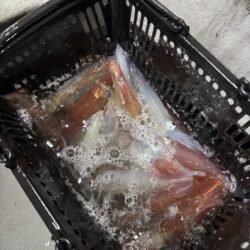 丹後沖イカメタル