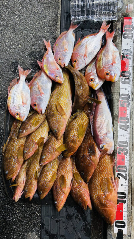 マイボートでアマダイ、アコウ釣り！