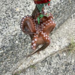 暑いけど、まあまあ!