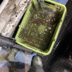 初メタル