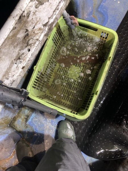 初メタル