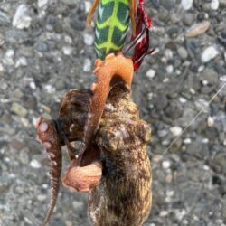激渋で、激暑い!