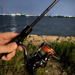 淀川ブリームゲーム