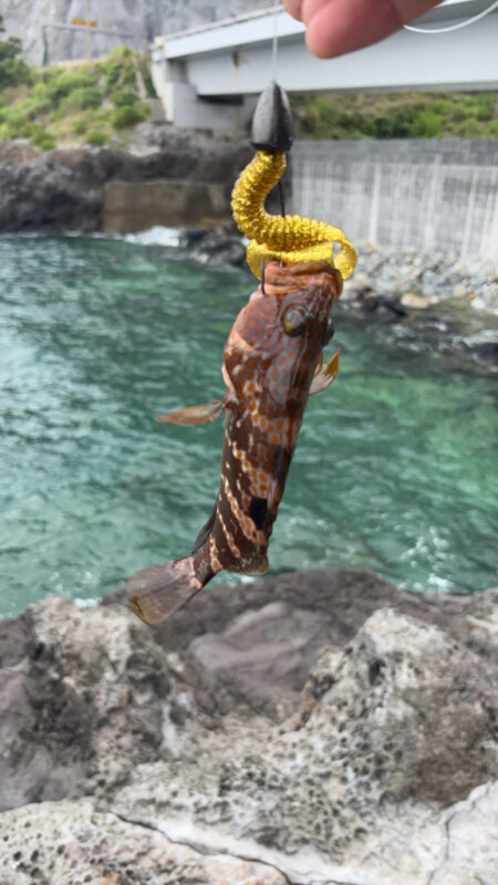ロックフィッシュ