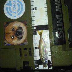 そりゃぁこうなるわな(笑)