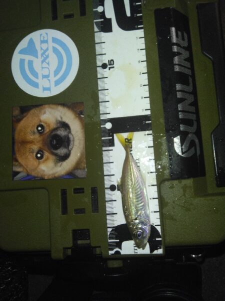 そりゃぁこうなるわな(笑)