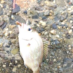 仕事前、暑くなる前に
