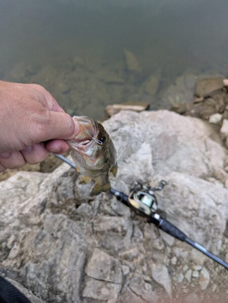 短時間の朝活釣行