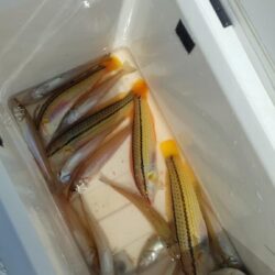 チョイ投げ