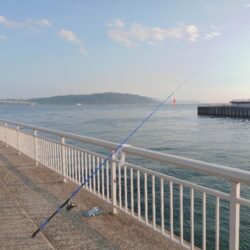 ウキサビキで豆アジ狙い🎣